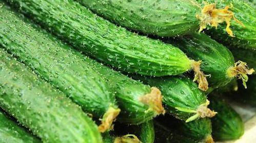 苏玖玖害怕吃瓜,瓜界恐惧者,揭秘她为何对吃瓜如此忌惮