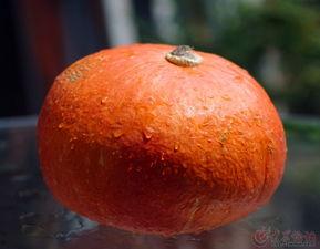 吃瓜数码产品,盘点近期热门数码产品风云录