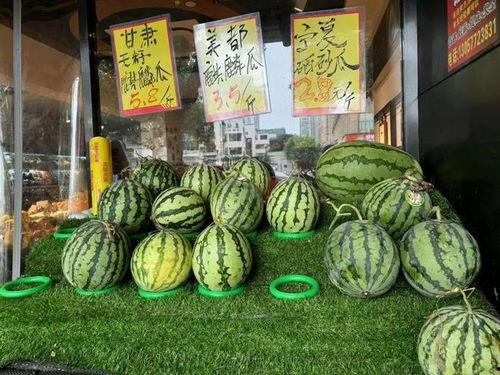 让孩子吃麒麟瓜,开启孩子健康成长的神奇果实