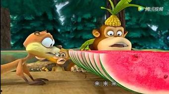 老虎吃瓜的动物视频,揭秘野生动物的饮食习惯