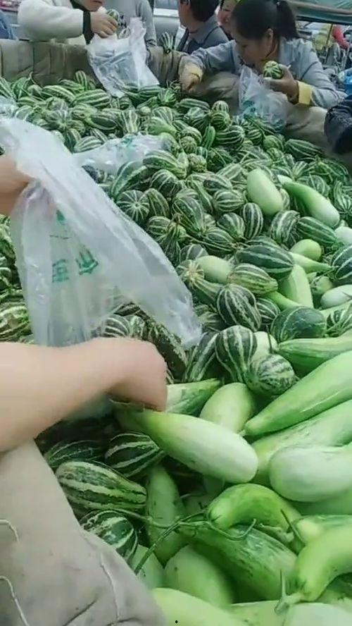 怎么吃拉瓜好吃,解锁拉瓜最佳食用之道