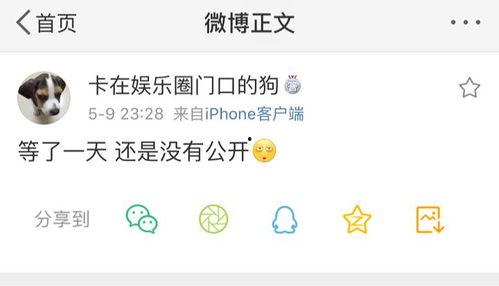 吃瓜爆料分享,吃瓜爆料背后的真相大揭秘