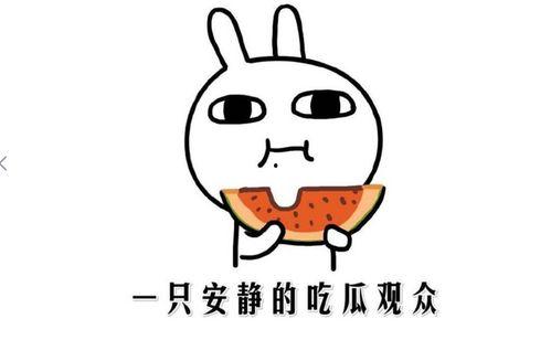 快手怎么吃瓜,轻松解锁热门话题,畅享娱乐盛宴