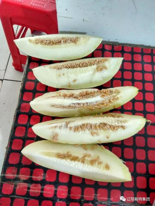 德胜园吃瓜,探寻老北京传统美食的魅力