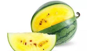 吃瓜微秘圈,网络舆论场中的热点追踪与真相探寻